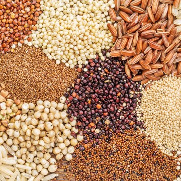 An assortment of colourful millet grains